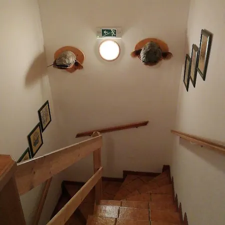 U Studanky Apartment